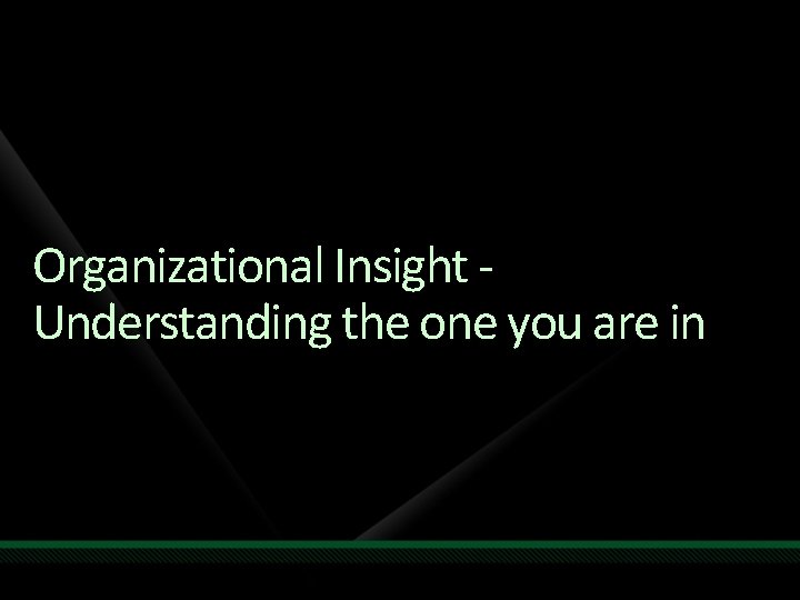 Organizational Insight Understanding the one you are in 