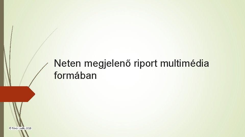 Neten megjelenő riport multimédia formában 