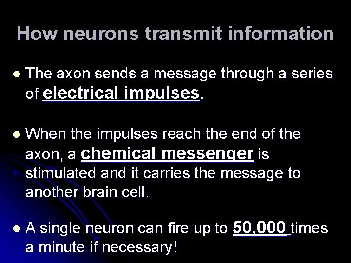 How neurons transmit information l The axon sends a message through a series of