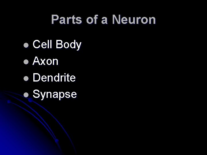 Parts of a Neuron Cell Body l Axon l Dendrite l Synapse l 