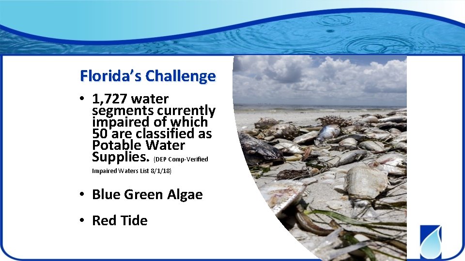 Florida’s Challenge • 1, 727 water segments currently impaired of which 50 are classified