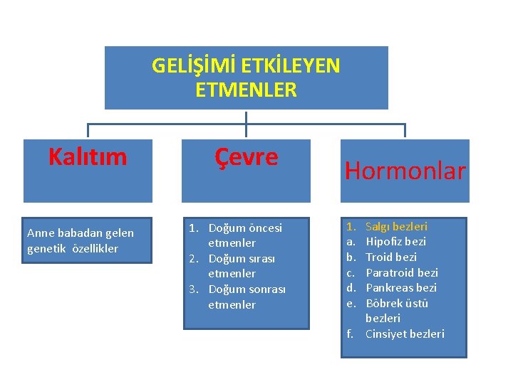 GELİŞİMİ ETKİLEYEN ETMENLER Kalıtım Anne babadan gelen genetik özellikler Çevre 1. Doğum öncesi etmenler