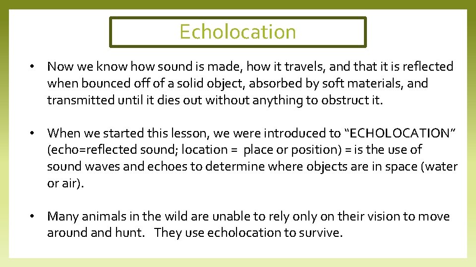 Echolocation • Now we know how sound is made, how it travels, and that