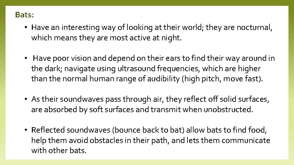 Bats: • Have an interesting way of looking at their world; they are nocturnal,