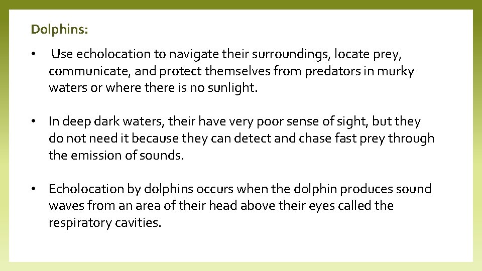 Dolphins: • Use echolocation to navigate their surroundings, locate prey, communicate, and protect themselves