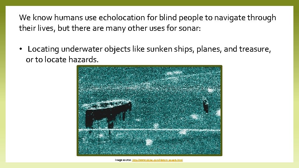 We know humans use echolocation for blind people to navigate through their lives, but