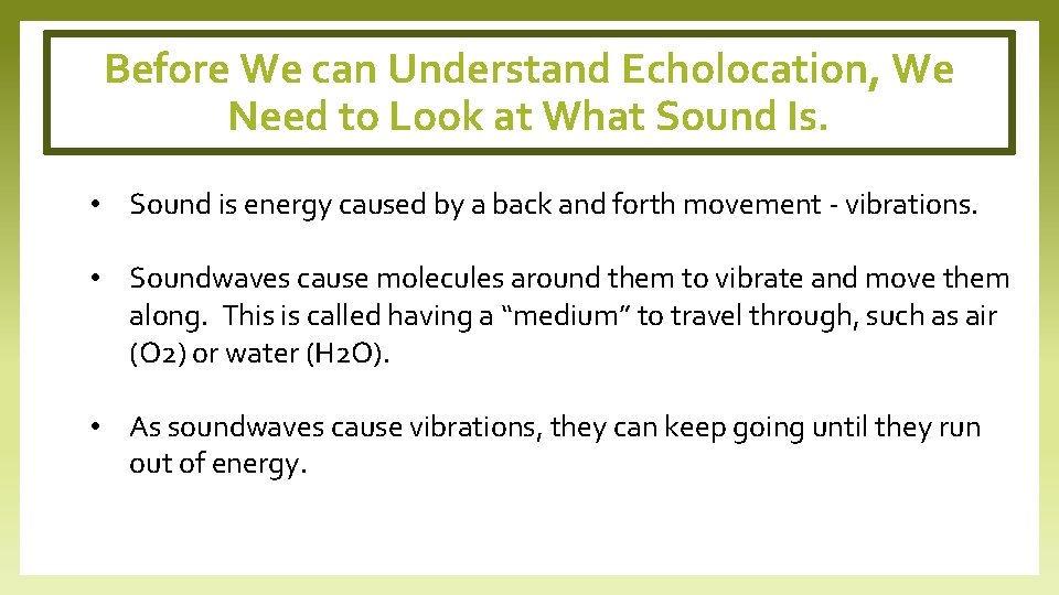 Before We can Understand Echolocation, We Need to Look at What Sound Is. •