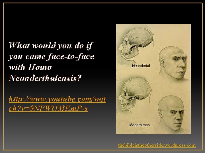 What would you do if you came face-to-face with Homo Neanderthalensis? http: //www. youtube.