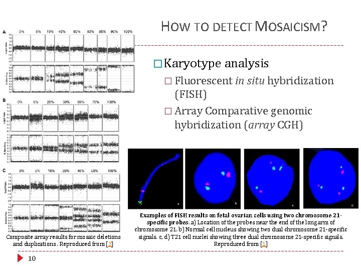 HOW TO DETECT MOSAICISM? � Karyotype analysis � Fluorescent in situ hybridization (FISH) �