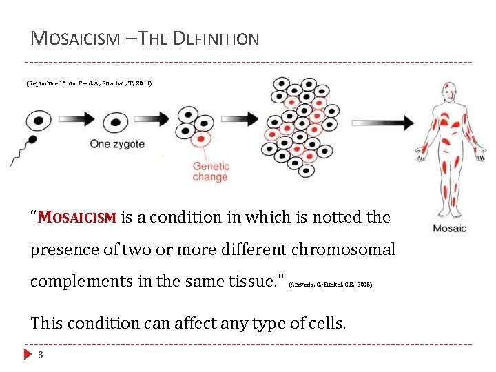 MOSAICISM – THE DEFINITION (Reproduced from: Read, A. ; Strachan, T. , 2011) “MOSAICISM