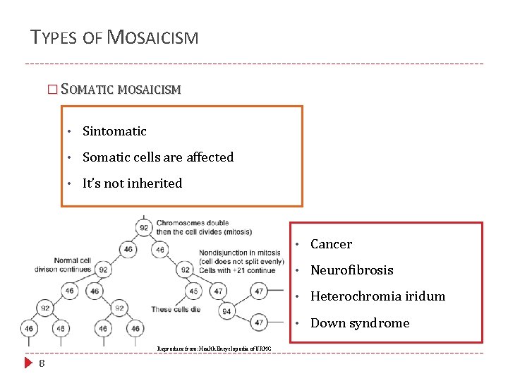 TYPES OF MOSAICISM � SOMATIC MOSAICISM • Sintomatic • Somatic cells are affected •