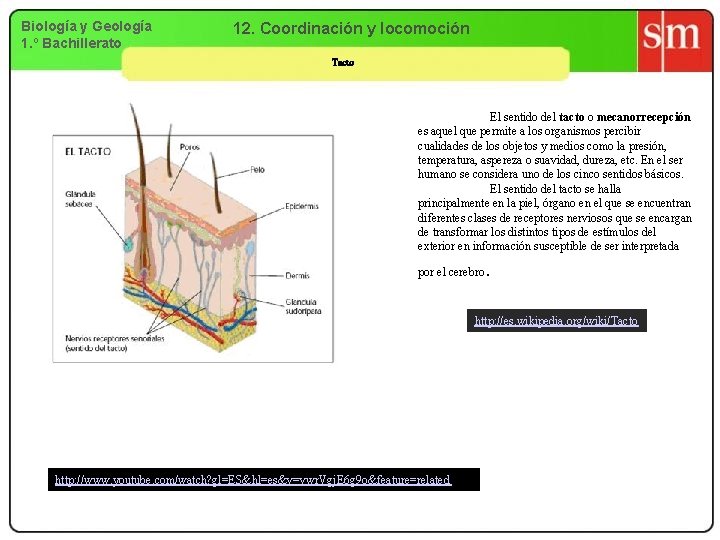 Biología y Geología 1. º Bachillerato 12. Coordinación y locomoción Tacto El sentido del