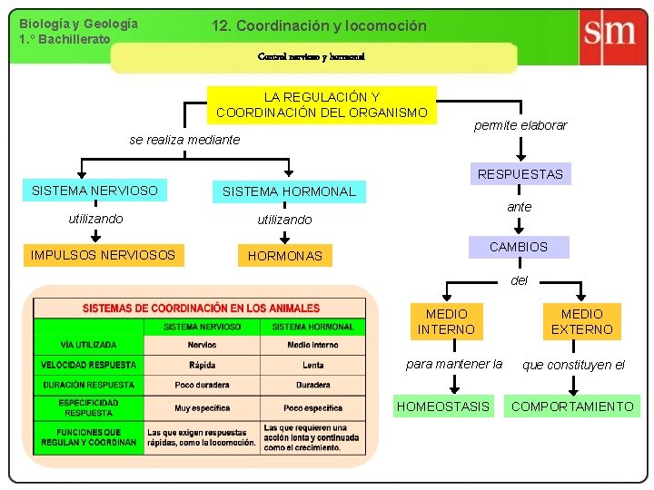 Biología y Geología 1. º Bachillerato 12. Coordinación y locomoción Control nervioso y hormonal
