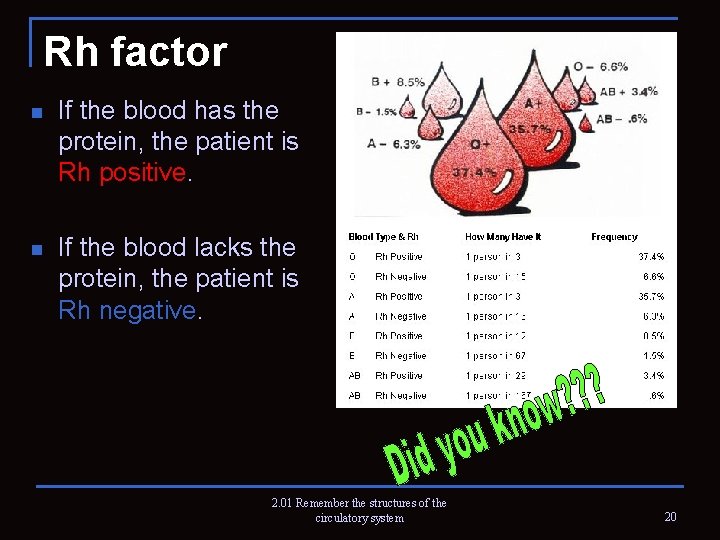 Rh factor n If the blood has the protein, the patient is Rh positive.