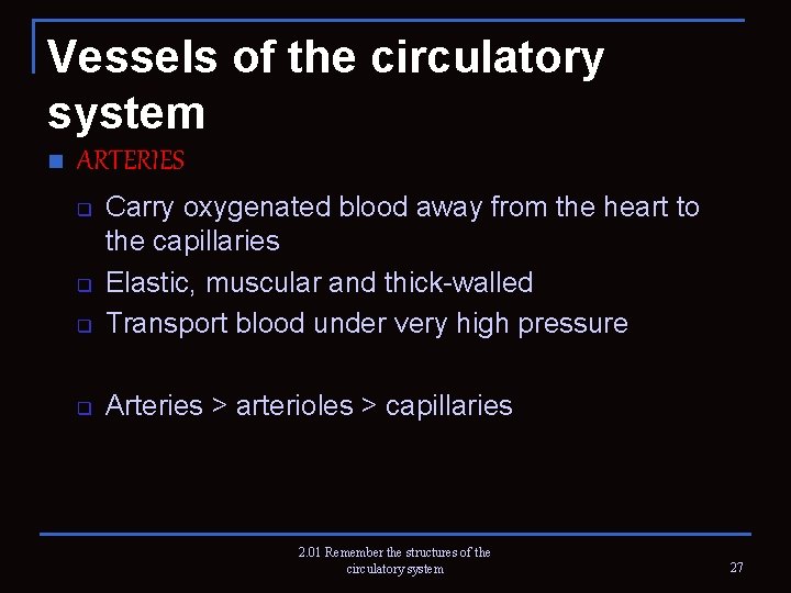 Vessels of the circulatory system n ARTERIES q Carry oxygenated blood away from the