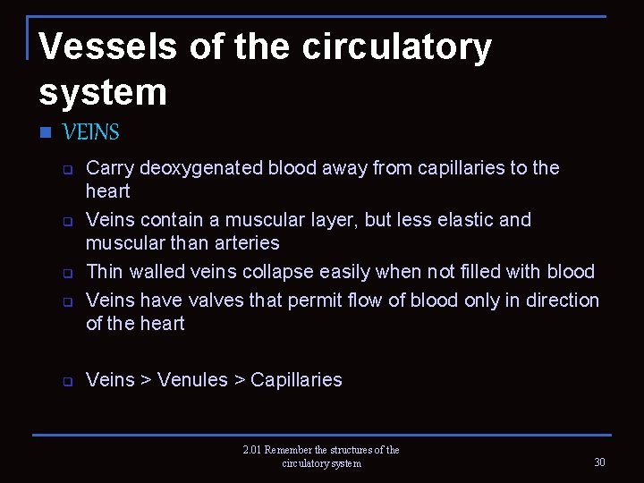 Vessels of the circulatory system n VEINS q q q Carry deoxygenated blood away