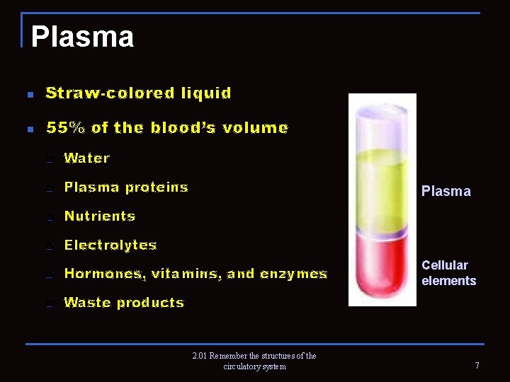 Plasma n Straw-colored liquid n 55% of the blood’s volume q Water q Plasma
