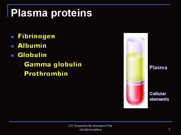 Plasma proteins n n n Fibrinogen Albumin Globulin q Gamma globulin q Prothrombin Plasma