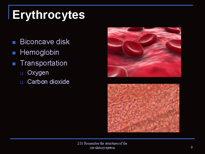 Erythrocytes n n n Biconcave disk Hemoglobin Transportation q q Oxygen Carbon dioxide 2.