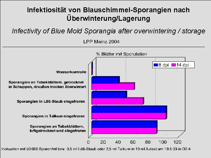 Infektiosität von Blauschimmel-Sporangien nach Überwinterung/Lagerung Infectivity of Blue Mold Sporangia after overwintering / storage