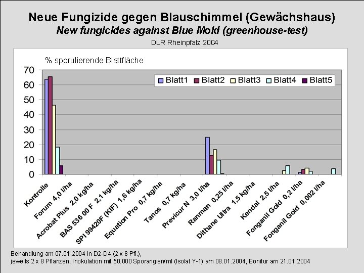 Neue Fungizide gegen Blauschimmel (Gewächshaus) New fungicides against Blue Mold (greenhouse-test) DLR Rheinpfalz 2004