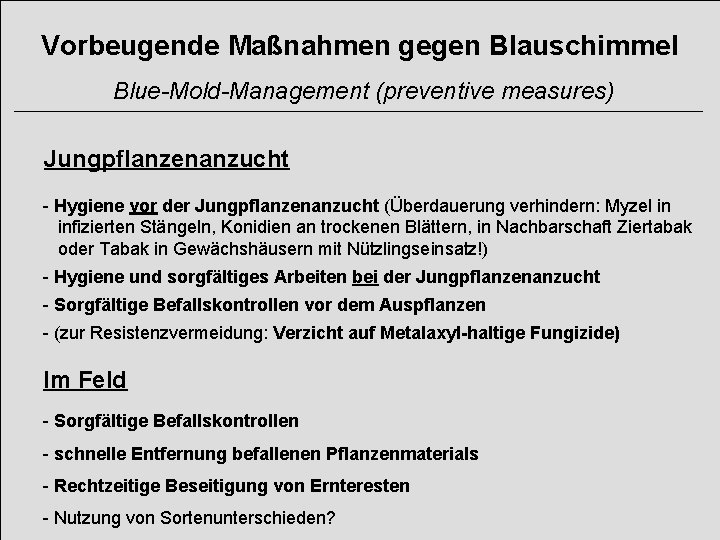 Vorbeugende Maßnahmen gegen Blauschimmel Blue-Mold-Management (preventive measures) Jungpflanzenanzucht - Hygiene vor der Jungpflanzenanzucht (Überdauerung