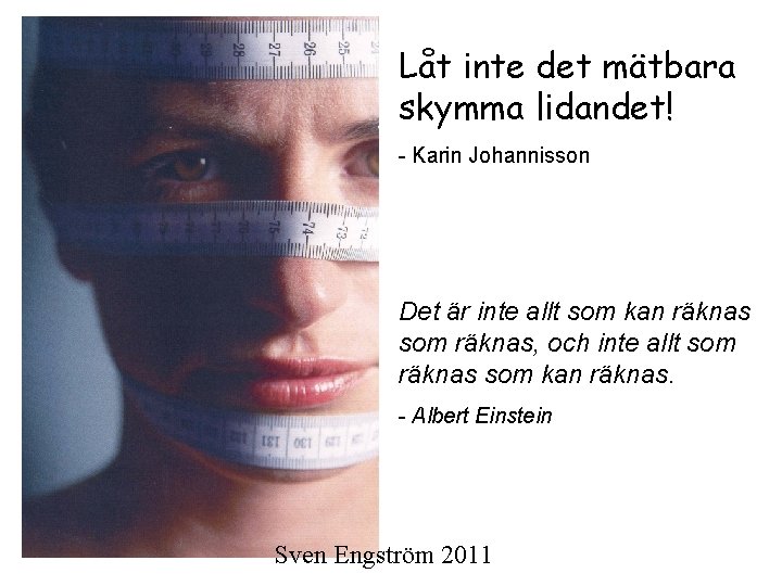 Låt inte det mätbara skymma lidandet! - Karin Johannisson Det är inte allt som