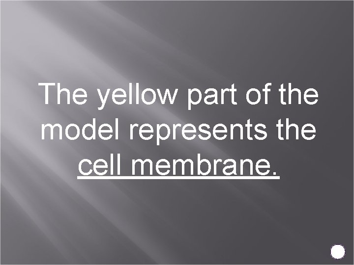 The yellow part of the model represents the cell membrane. 