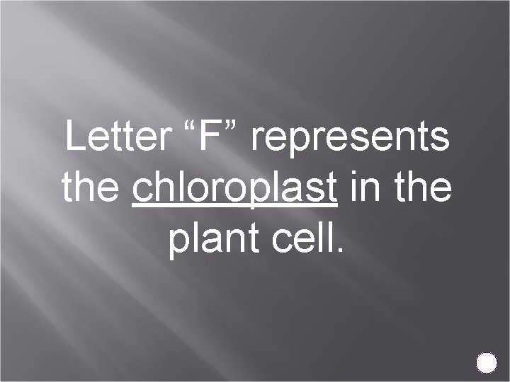 Letter “F” represents the chloroplast in the plant cell. 