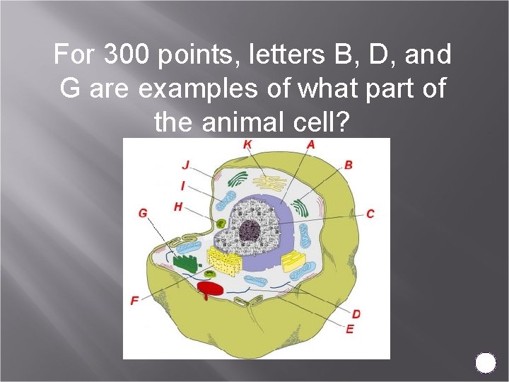 For 300 points, letters B, D, and G are examples of what part of