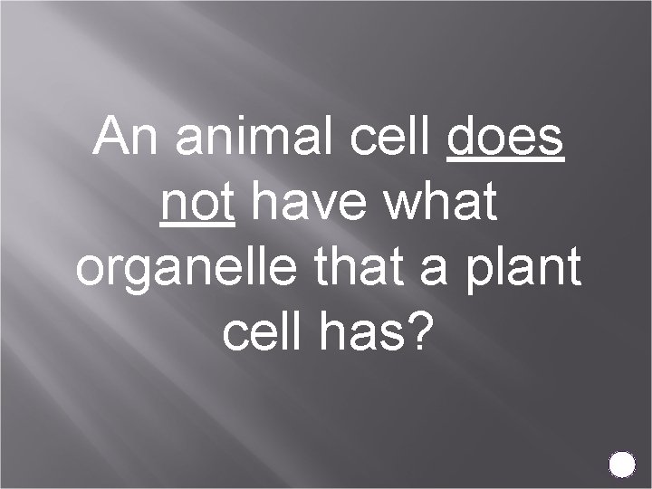 An animal cell does not have what organelle that a plant cell has? 
