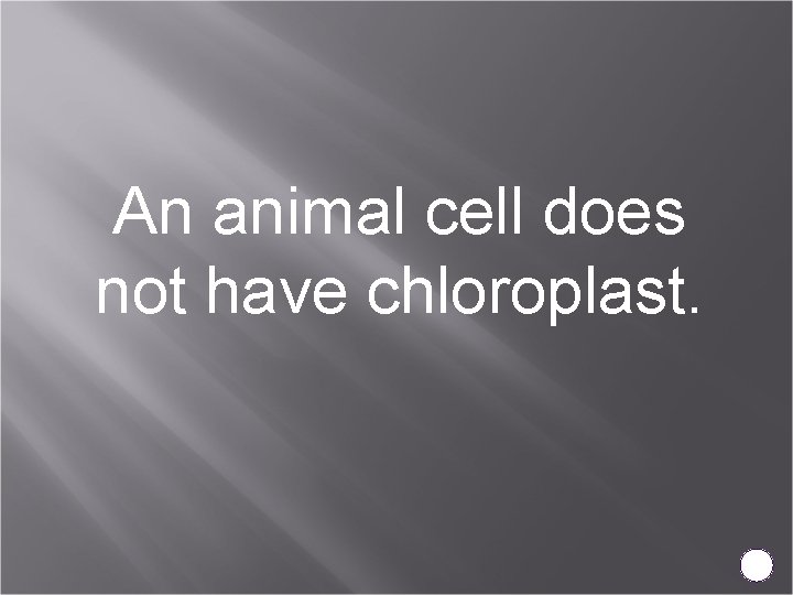 An animal cell does not have chloroplast. 