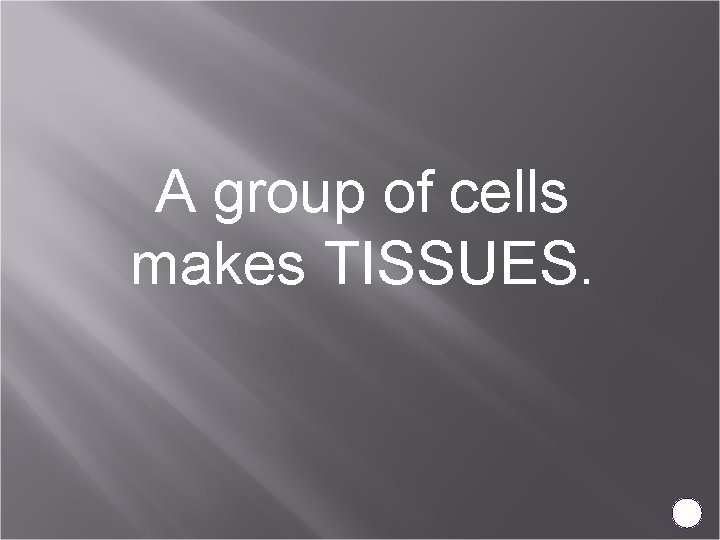 A group of cells makes TISSUES. 