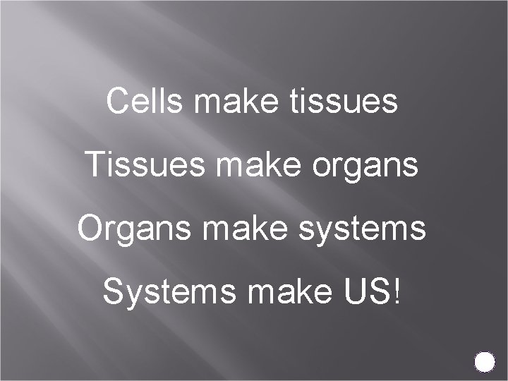 Cells make tissues Tissues make organs Organs make systems Systems make US! 