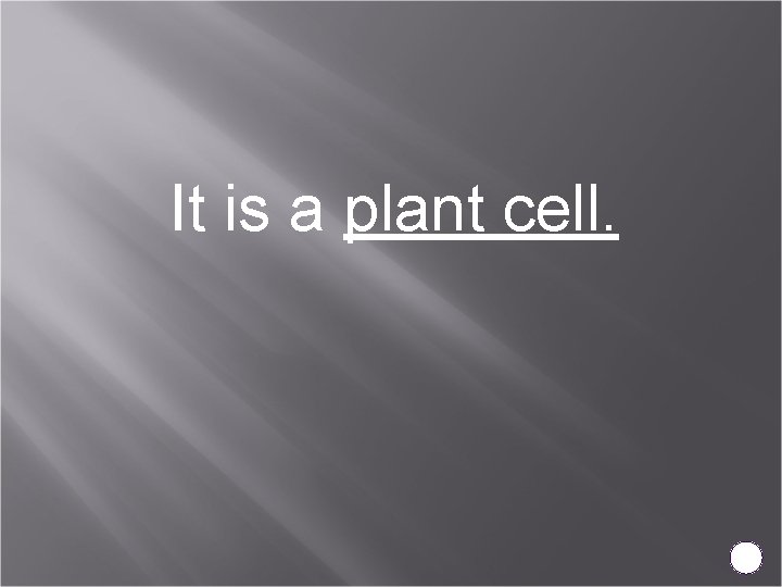 It is a plant cell. 