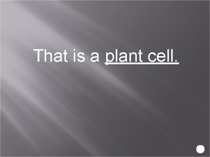 That is a plant cell. 