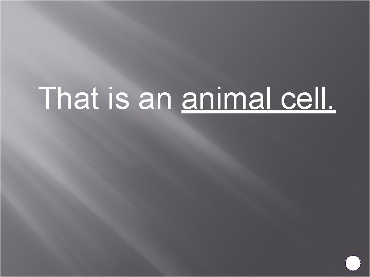 That is an animal cell. 