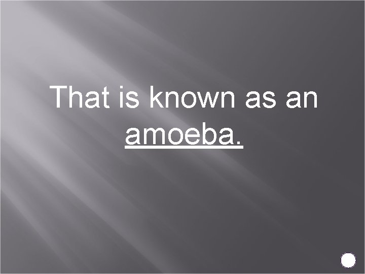 That is known as an amoeba. 