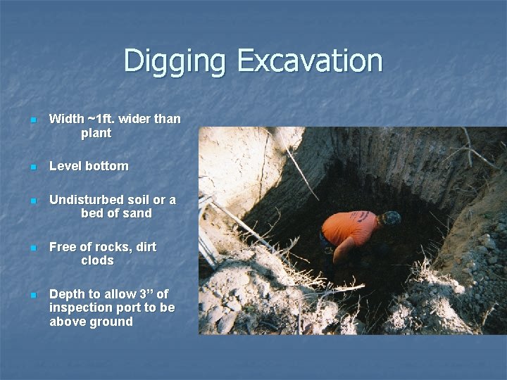Digging Excavation n Width ~1 ft. wider than plant n Level bottom n Undisturbed