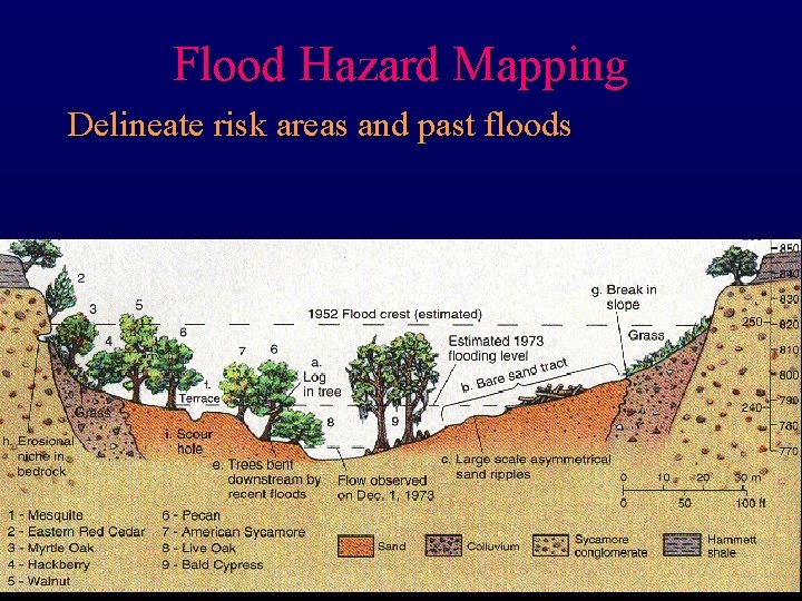 Flood Hazard Mapping Delineate risk areas and past floods 