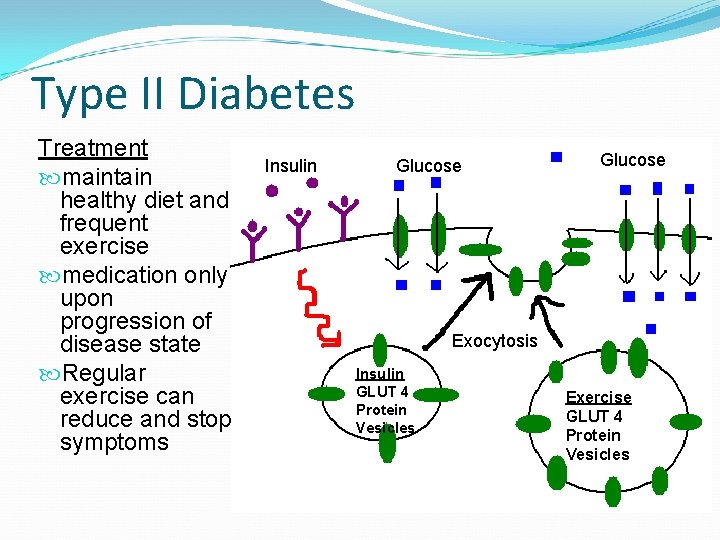 Type II Diabetes Treatment maintain healthy diet and frequent exercise medication only upon progression