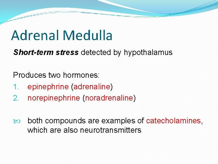 Adrenal Medulla Short-term stress detected by hypothalamus Produces two hormones: 1. epinephrine (adrenaline) 2.