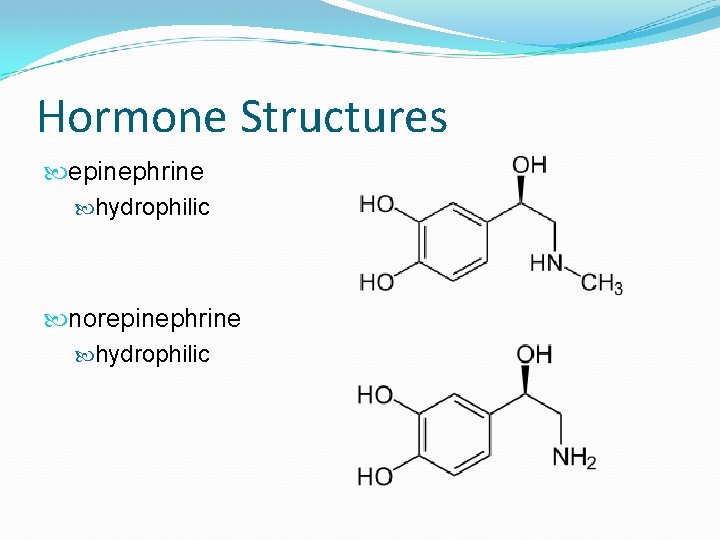 Hormone Structures epinephrine hydrophilic norepinephrine hydrophilic 