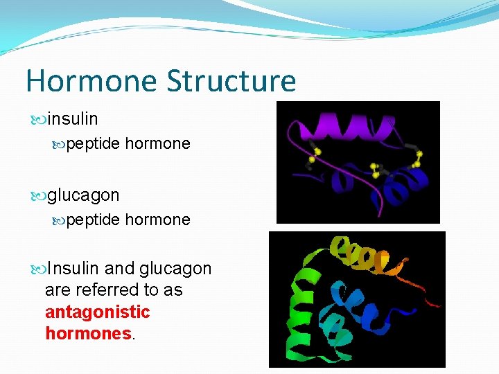 Hormone Structure insulin peptide hormone glucagon peptide hormone Insulin and glucagon are referred to