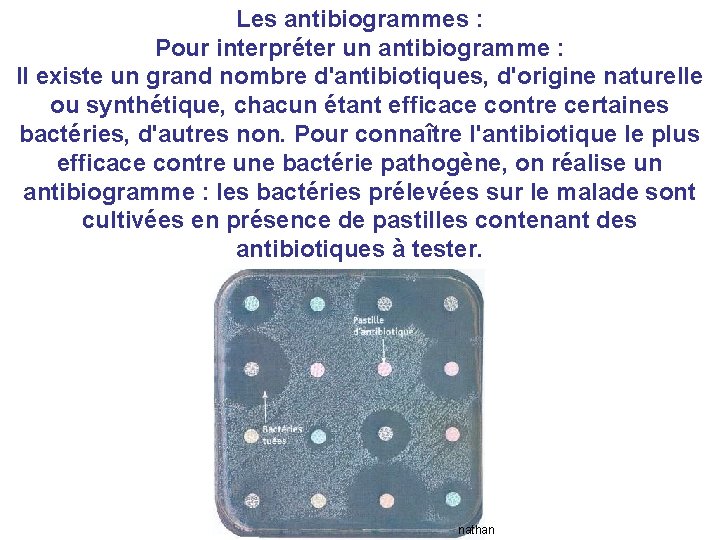 Les antibiogrammes : Pour interpréter un antibiogramme : Il existe un grand nombre d'antibiotiques,