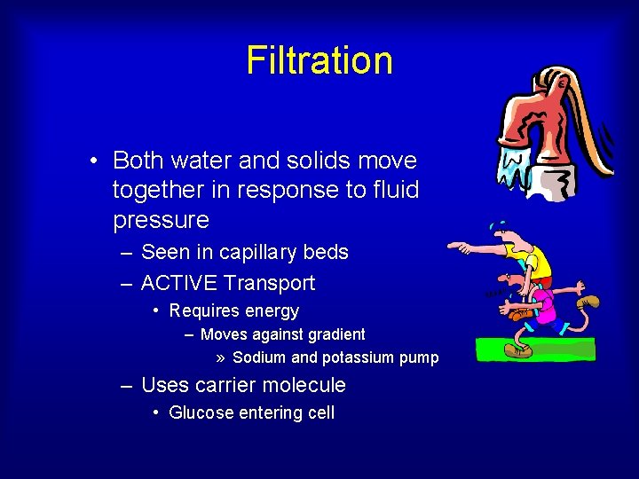Filtration • Both water and solids move together in response to fluid pressure –