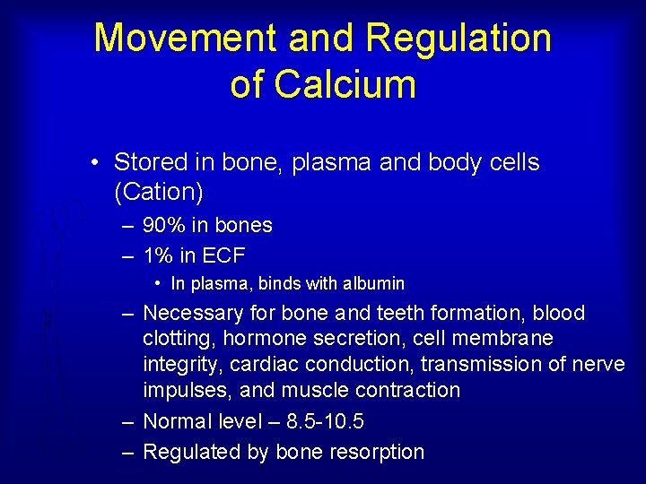 Movement and Regulation of Calcium • Stored in bone, plasma and body cells (Cation)