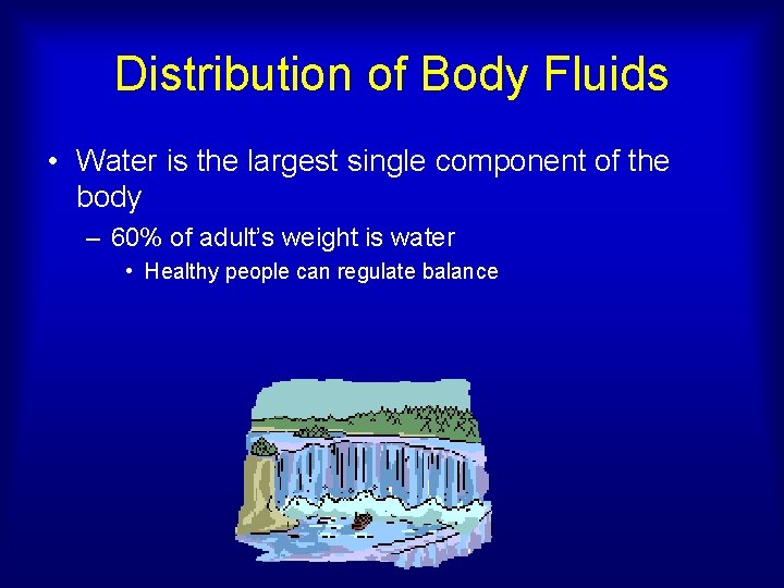 Distribution of Body Fluids • Water is the largest single component of the body