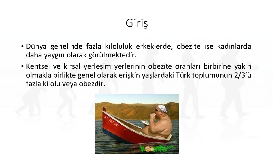 Giriş • Dünya genelinde fazla kiloluluk erkeklerde, obezite ise kadınlarda daha yaygın olarak görülmektedir.