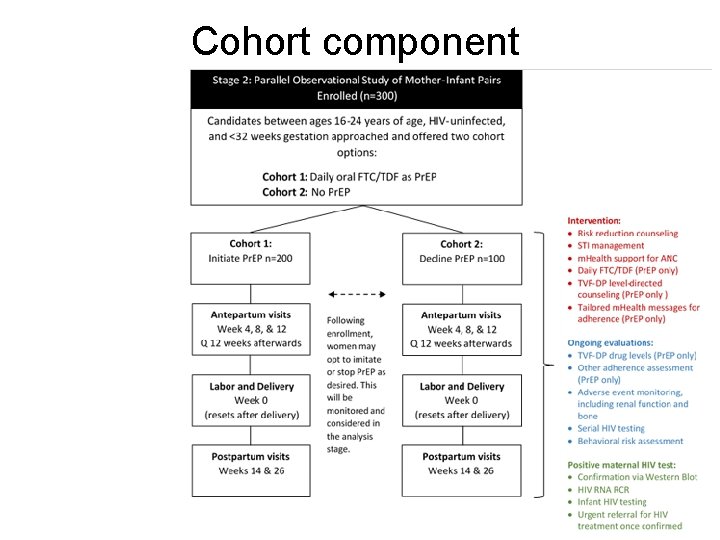 Cohort component 